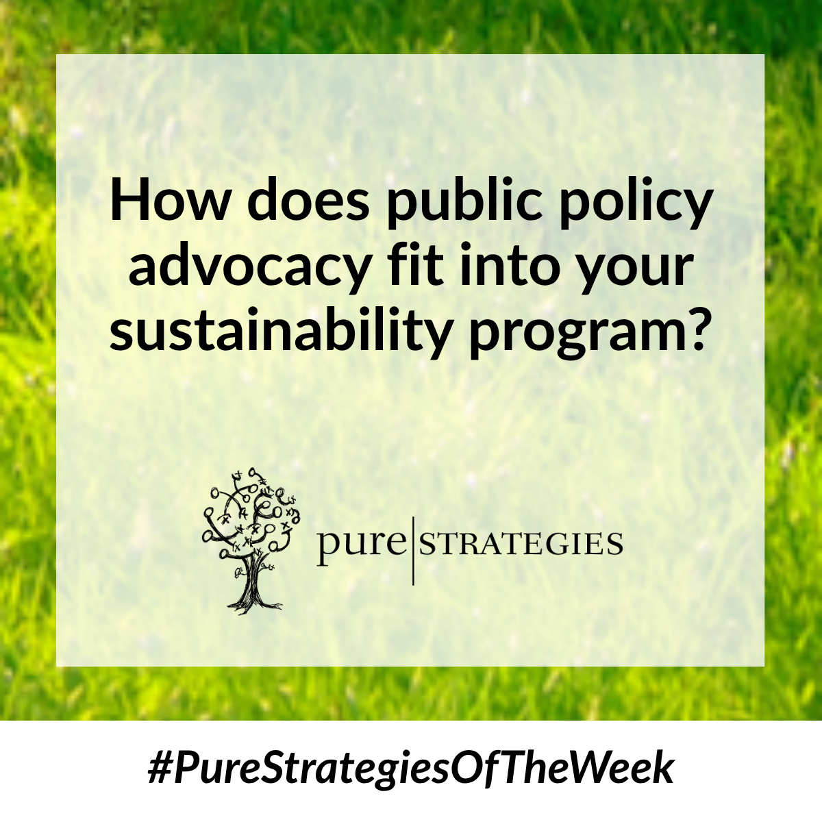 Check out Pure Strategies of the Week!