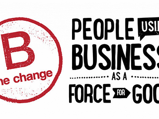 Pure Strategies 2019 Report on the B Corp Certification Progress